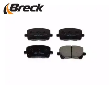 breck-238360070100